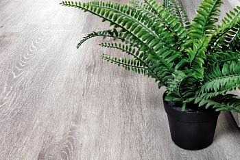 Кварцвиниловая плитка Alpine Floor Классический (Classic) Ясень Серый ECO 134-5